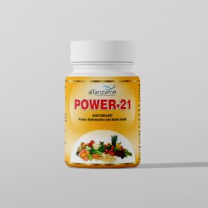 Power 21